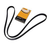 ContiTech Courroie trapézoïdale à nervures 5PK1546