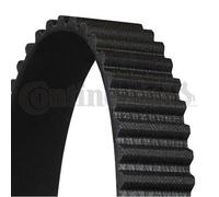 CONTINENTAL CTAM Courroie Impôt-ceinture pour Lexus Sc UZZ40_430 Ls _F3_