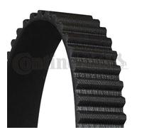 CONTINENTAL CTAM Courroie Impôt-ceinture pour VW Golf III 1H1 2.0 Gti 16V