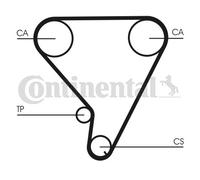 CONTINENTAL CTAM CT1033 Courroie de distribution pour INFINITI,NISSAN