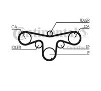 Continental Ctam CT1079 Courroie pour Opel Signum Renault Espace IV Saab 9-5