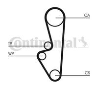 Courroie de distribution CONTINENTAL CT798