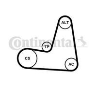 CONTINENTAL CTAM Ensemble Courroie de Ceinture pour Dacia MCV Ks _ Lodgy Js _ FS