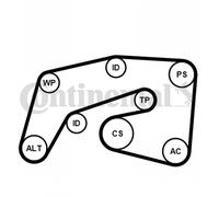 CONTINENTAL CTAM Ensemble Courroie de Ceinture pour MERCEDES-BENZ M-CLASSE W164
