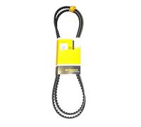 CONTINENTAL CTAM Jeu de courroies trapézoïdales 2XAVX10X975