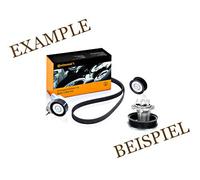 CONTINENTAL CTAM Pompe à eau + kit de courroie trapézoïdale à nervures 6PK1733WP3