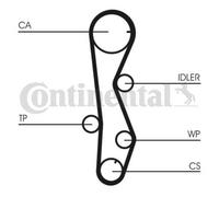CONTINENTAL CTAM Pompe À L'Eau + Courroie pour Kia Cee'D Sw Ed Pro Hyundai