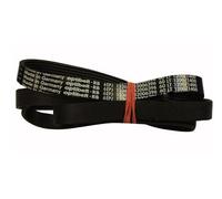 Continental Edison France. Courroie 1236 J6 Mael Poly V. Ref: 42006396