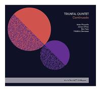 Continuado. Œuvres de Piazzolla, D'hoe, Faes, Devreese. Triunfal Quintet. [Import]