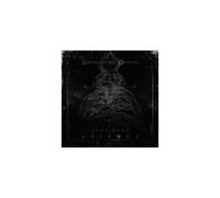 Continuum of Absence – Universal Music Group