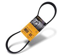 CONTITECH 1241394 Courroie Striée