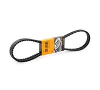 CONTITECH 2XAVX13X1100 Jeu de courroies trapézoïdales