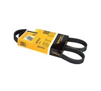 ContiTech Courroie trapézoïdale à nervures 4PK1015