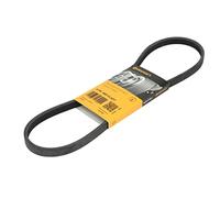 CONTITECH 4PK885 Elastique Courroie Striée