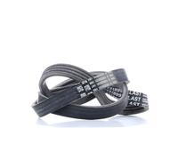 CONTITECH 4PK922 ELAST Courroie Poly-V