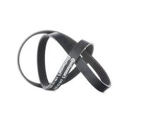 CONTITECH 5PK1121 EXTRA Courroie Poly-V