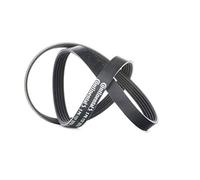 Contitech 5PK1121 EXTRA Courroie Striée