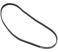 Contitech 5PK1207 Courroie Striée