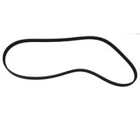 ContiTech Courroie Poly-V 5PK1720