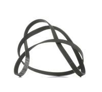 Courroie trapézoïdale à nervures CONTINENTAL 5PK1788