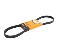 Courroie trapézoïdale à nervures CONTINENTAL 5PK920