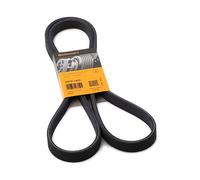 Continental Contitech 6DPK1825 Courroie trapézoïdale à nervures