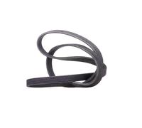 Continental Contitech 6DPK1853 Courroie trapézoïdale à nervures