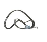CONTITECH 6PK1029 ELAST T1 Jeu de courroies trapézoïdales à nervures