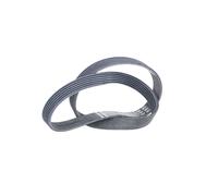 CONTITECH 6PK1059 ELAST Courroie Poly-V