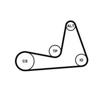 Contitech 6PK1130K1 Kit Courroie Multi V Continental