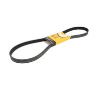 ContiTech Courroie Poly-V 6PK1240 ELAST