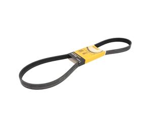 Contitech 6PK1240 ELAST Courroie Striée