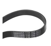 CONTITECH 6PK1244 Courroie Poly-V