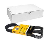 ContiTech Courroie Poly-V 6PK1249 ELAST
