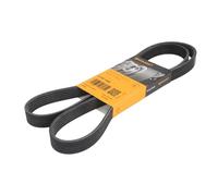 Contitech 6PK1486 Courroie Striée