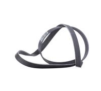 CONTITECH 6PK1613 Courroie Poly-V