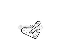 Contitech 6PK1740K1 Kit Courroie Multi V Continental