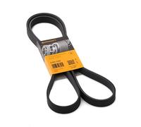 Continental Contitech 6PK1743 Courroie trapézoïdale à nervures