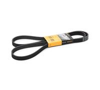 CONTITECH 6PK1870 Courroie Poly-V