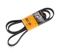 Continental Contitech 6PK1980 Courroie trapézoïdale à nervures