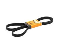 Continental Contitech 6PK1990 Courroie trapézoïdale à nervures