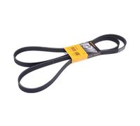 Continental Contitech 6PK2241 Courroie trapézoïdale à nervures