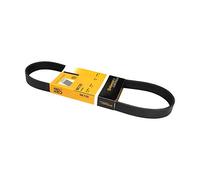 Contitech 6PK720 Courroie Striée