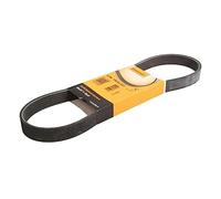 CONTITECH 6PK799 ELAST Courroie Striée