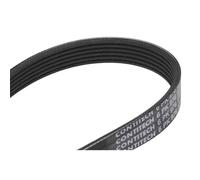 CONTITECH 6PK976 Courroie Poly-V