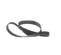 ContiTech Courroie trapézoïdale à nervures 7PK1377