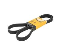 CONTITECH 7PK1647 Courroie Poly-V