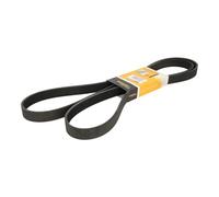 ContiTech Courroie Poly-V 7PK2120