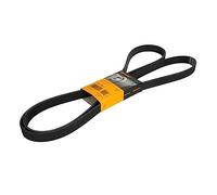 ContiTech Courroie Poly‑V 7PK2370 trapézoïdale à nervures