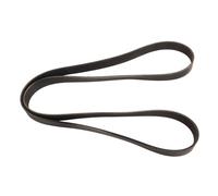 Contitech 8PK1325 Courroie Striée